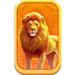 Lion
Safari